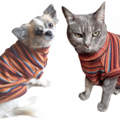 Pulover pentru caini si pisici Petas orange stripe, marimi XS,S,M,L,XL