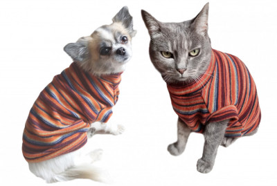Pulover pentru caini si pisici Petas orange stripe, marimi XS,S,M,L,XL foto