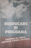 REEDUCARE SI PRIGOANA primul razboi cultural vol2