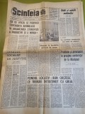scanteia 24 septembrie 1968-jud. dolj,fotbal u. cluj - fc. arges 3- 0