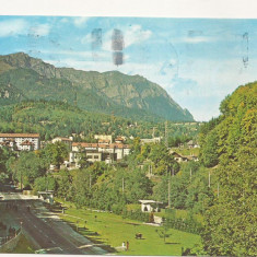 RC14 -Carte Postala- Sinaia, Vedere spre muntii Bucegi, circulata 1985