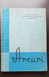 Arcuri - D. D. Boiangiu, C. Constantinescu, L. Săveanu