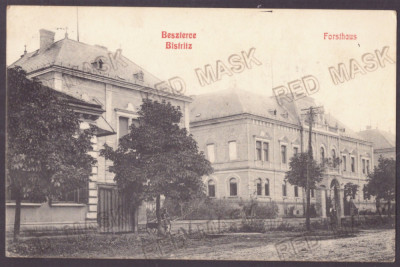 3899 - BISTRITA, Forestry Center, Romania - old postcard - used - 1908 foto