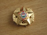 QW9 N 36 - insigna - militar - Ungaria - KTP, Europa