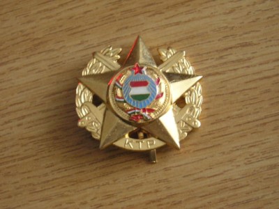 QW9 N 36 - insigna - militar - Ungaria - KTP foto