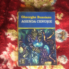 k2 Agenda cenusie - Gheorghe Buzoianu