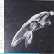 MARCEL GUGUIANU, ALBUM-NECUNOSCUT-257621