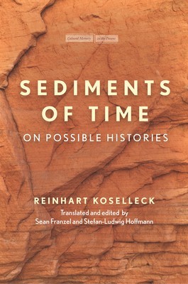 Sediments of Time: On Possible Histories foto
