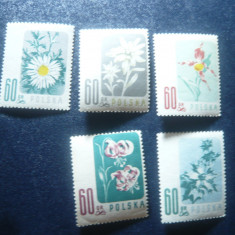 Serie Polonia 1957 - Flora , 5 valori