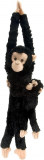 Maimuta care se agata Cimpanzeu cu pui