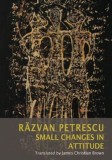 Small Changes in Attitude | Razvan Petrescu