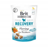 Cumpara ieftin Brit Care Dog Snack Recovery Herring, 150 g