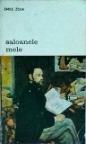 Emile Zola - Saloanele mele, Editura Meridiane, Biblioteca de Arta, Coperta Brosata, Stare Buna, Limba Romana