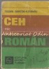 Mic Dicționar Ceh-Rom&acirc;n Teodora Dobrițoiu-Alexandru, București 1983, 383 pagini