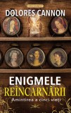 Enigmele reincarnarii - Dolores Cannon - Prestige