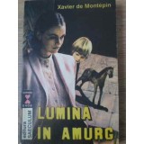 LUMINA IN AMURG-XAVIER DE MONTEPIN-94921