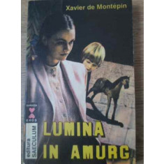 LUMINA IN AMURG-XAVIER DE MONTEPIN