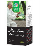 Tinctura Meridian Stomac Santo Raphael 100ml