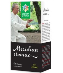 Tinctura Meridian Stomac Santo Raphael 100ml