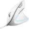 MOUSE TRUST VERTO ERGO WHT