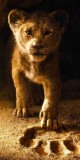 Husa Personalizata APPLE iPhone 7 Plus \ 8 Plus The Little Lion