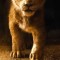Husa Personalizata APPLE iPhone 7 Plus \ 8 Plus The Little Lion