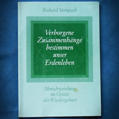 VERBORGENE ZUSAMMENHANGE BESTIMMEN UNSER ERDENLEBEN - RICHARD STEINPACH