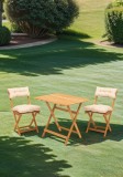 Set masa si scaune de gradina (3 piese) My003A Crem 80x72x60 cm