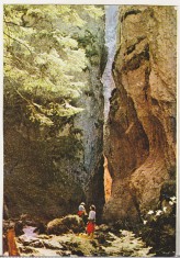 bnk cp Cheile Cheii din Compelxul carstic Dambovicioara - Vedere - necirculata foto