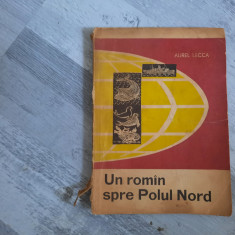 Un roman spre Polul Nord de Aurel Lecca