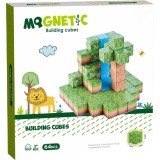 Cuburi magnetice - In natura 64 piese (2.5 cm)