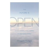 Cumpara ieftin The Future Is Open