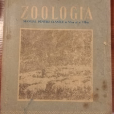 ZOOLOGIA - MANUAL PENTRU SCOLILE PEDAGOGICE - 1956