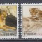 CHINA 2005 FAUNA SALBATICA SERIE MNH