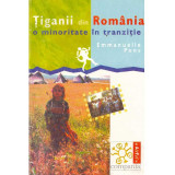 Emmanuelle Pons - Tiganii din Romania. O minoritate in tranzitie - 135211