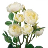 Floare Artificială, Model Piciorul Cocoșului, Culoare Alb, Tulpină Scurtă, 40cm, Oem