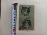 Eftimie Mod&acirc;lcă ( N.1936- D.1991 ) CAPETE DE PISICA ***Acuarela, 1955