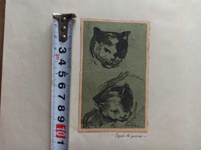 Eftimie Mod&acirc;lcă ( N.1936- D.1991 ) CAPETE DE PISICA ***Acuarela, 1955