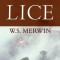 The Lice