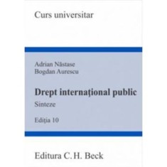 Drept international public - Adrian Nastase, Bogdan Aurescu