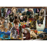 Puzzle Harry Potter Vs Voldemort, 1000 Piese, Ravensburger