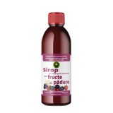 Sirop Fructe de Padure cu Zahar 500 mililitri Hypericum, Hypericum Plant