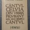 Mihai Teclu - C&acirc;ntul celuia din urmă figurant sau, mai simplu, c&acirc;ntul (eseu)