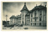 3260 - CRAIOVA, Prefectura, old cars, Romania - old postcard real PHOTO - unused, Necirculata, Fotografie