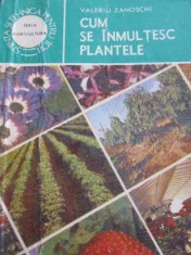 Cum se inmultesc plantele - Valeriu Zanoschi foto