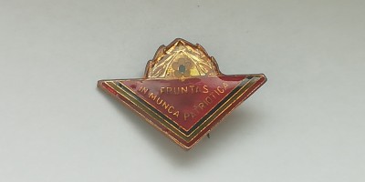 QW9 K 77 - Insigna - tematica comunism - Fruntas in munca patriotica foto