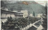 !!! RARR : HERCULANE - BAILE SI COLONADA - CIRCULATA 1907