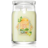 Yankee Candle Lemon Gelato lum&acirc;nare parfumată 567 g