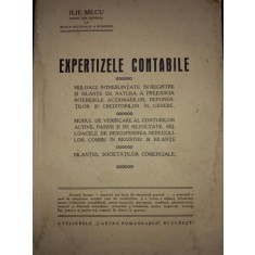 EXPERTIZELE CONTABILE - ILIE MECU (1935)