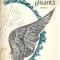 Bolta glisanta - Anais Nersesian